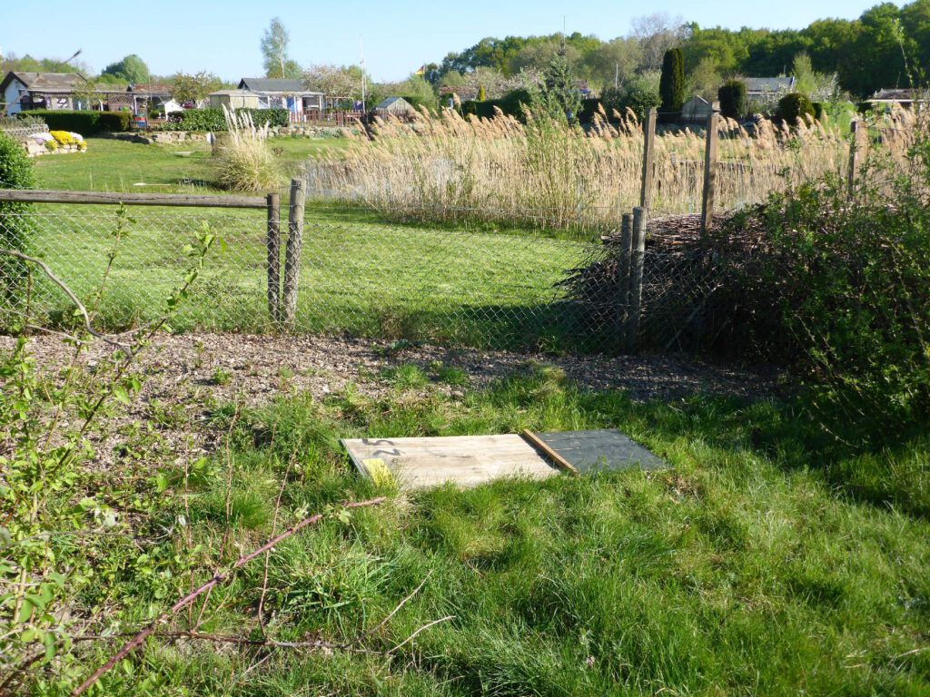 Abbildung 12: Modifiziertes Schalbrett ausgelegt als künstliche Versteckmöglichkeit (KV) (Nr. 17) am Rande einer Kleingartenanlage im Norden des NSG (KV=Schlangenbrett). (Foto: 22.04.2020)